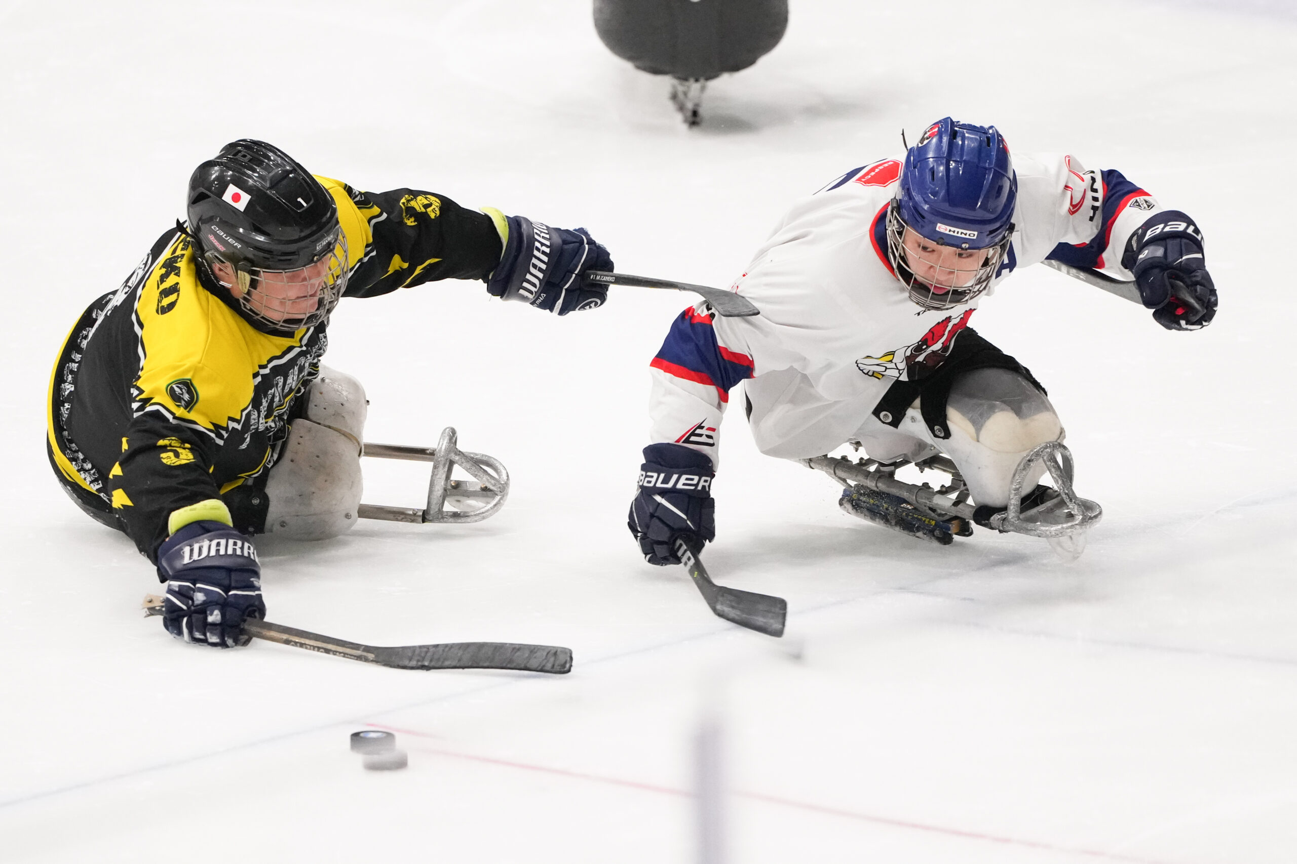   ミラノに向けて！パラアイスホッケー全国クラブ選手権大会レポート